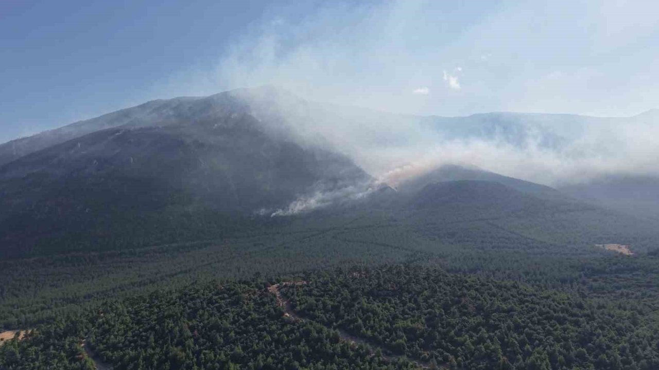 Denizli’deki yangın bölgesinde soğutma çalışmaları devam ediyor