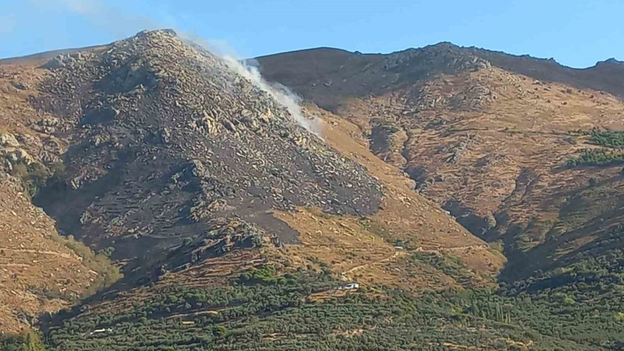 Marmara Adası’ndaki yangın kontrol altına alındı
