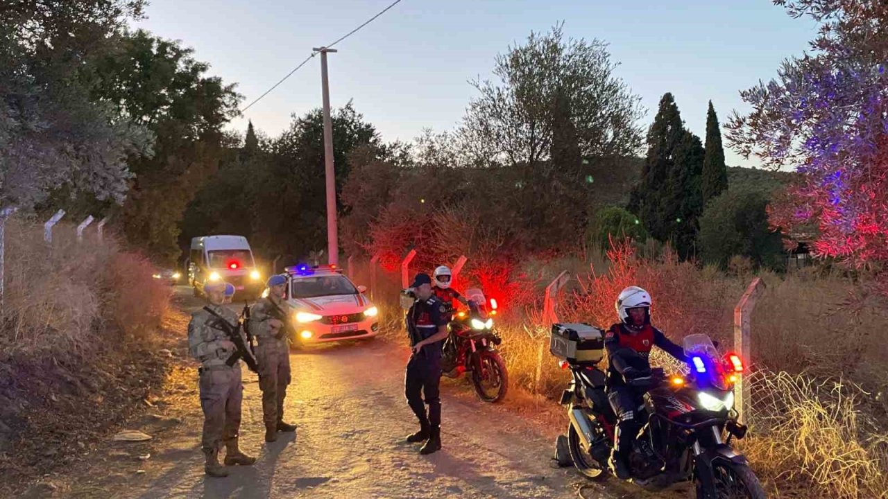 Jandarma incir hırsızlarına geçit vermiyor