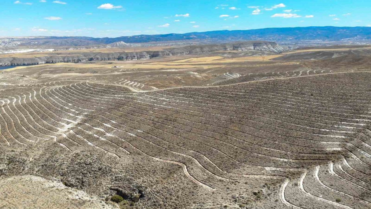 OGM: "Ankara’da 600 futbol sahası büyüklüğünde alanda erozyona karşı set oluyoruz"