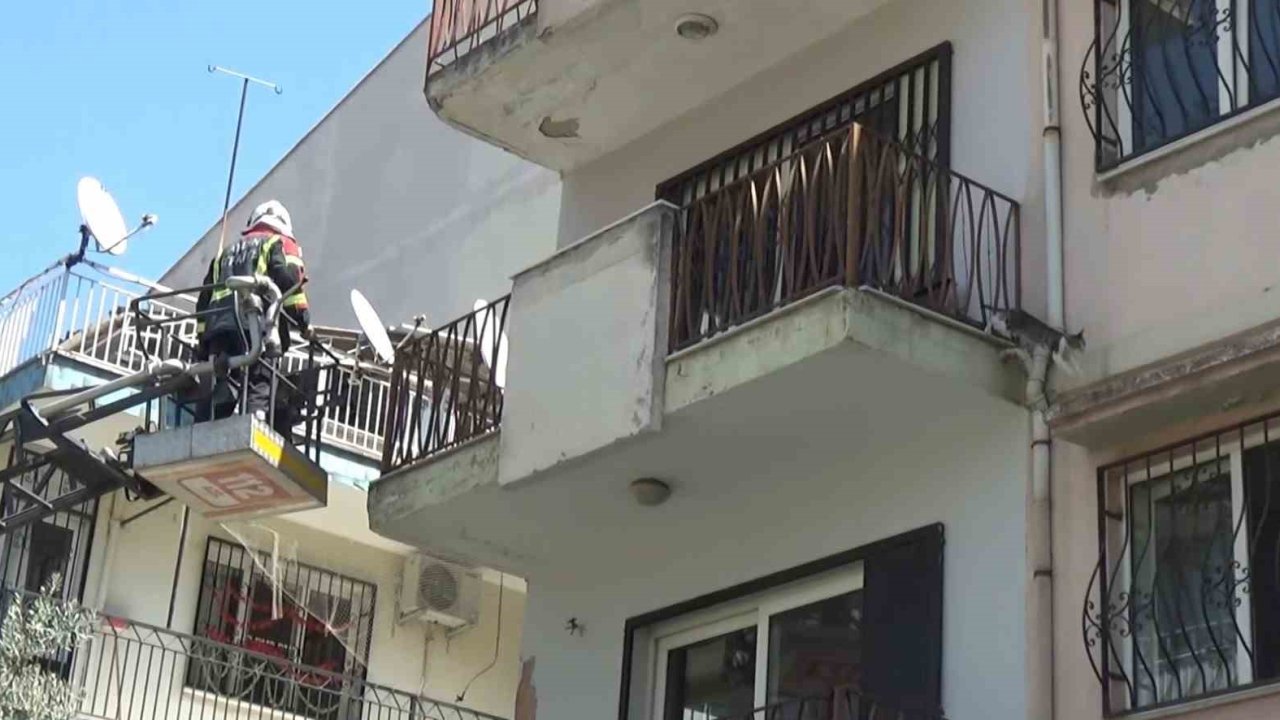 Sevimli kediyi kurtarmak için tüm ekipler seferber oldu, o kurtarılacağı anda atlayıp gitti