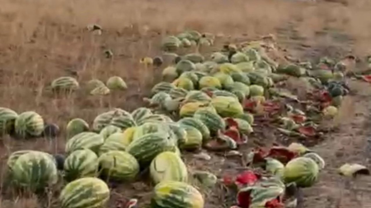 Tekirdağ’da israf tepkisi: Karpuzlar yola saçıldı