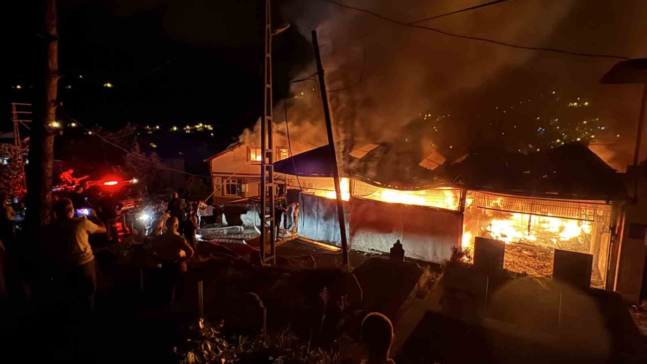 Zonguldak’ta alevler geceyi aydınlattı: 4 ev 1 yeri kullanılmaz hale geldi