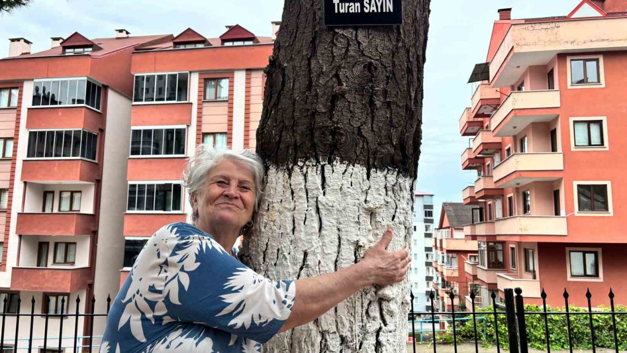 Hatıra ormanı değil site bahçesi