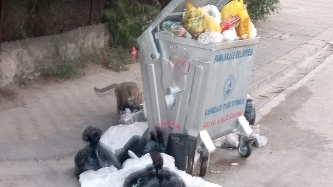 Pamukkale’de çöp dağları