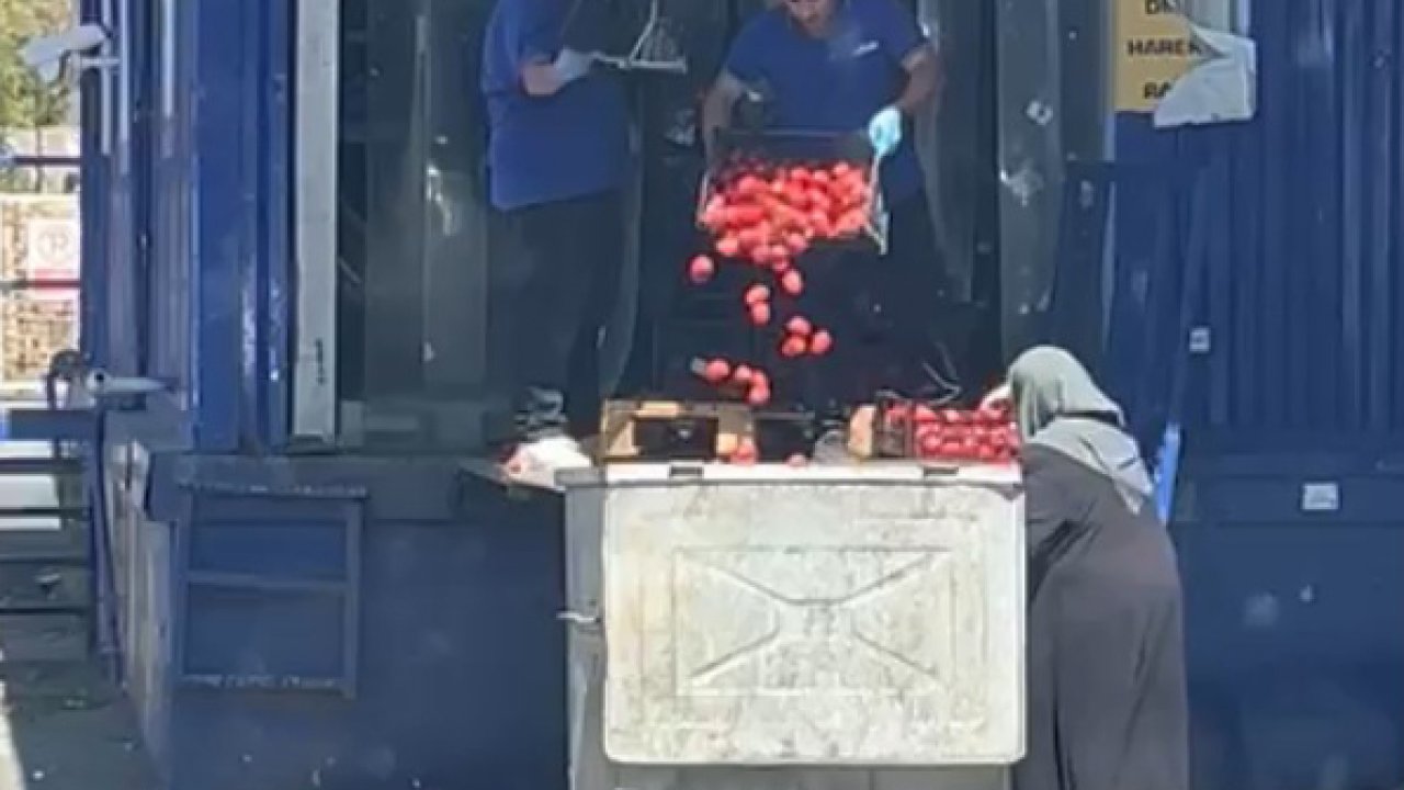 Zincir markette kasalar dolusu domates çöpe döküldü, o anlar tepki topladı