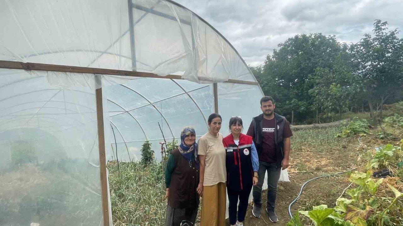 Sinop’ta modern seralar faaliyete geçti
