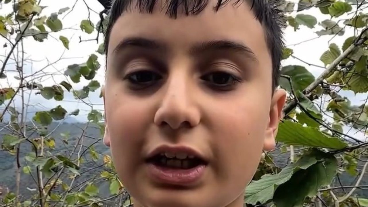 Giresunlu küçük Talha fındığını Gazze için topluyor