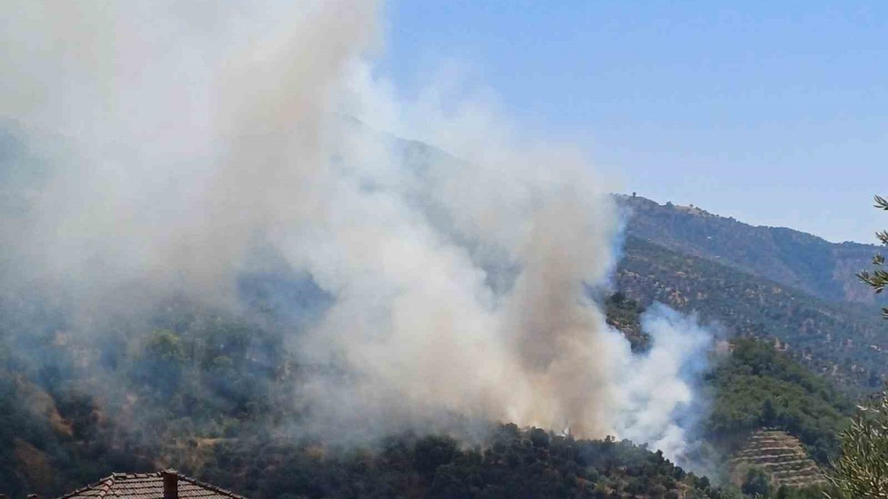 Aydın’da zirai alan yangını