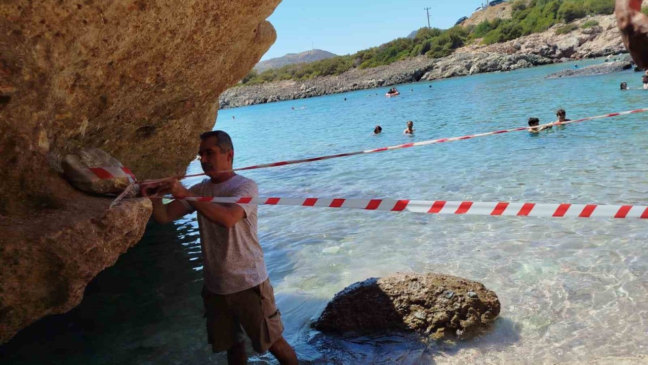 Koruma altına alınan Akdeniz foku, kontrollerinin ardından sahile bırakıldı