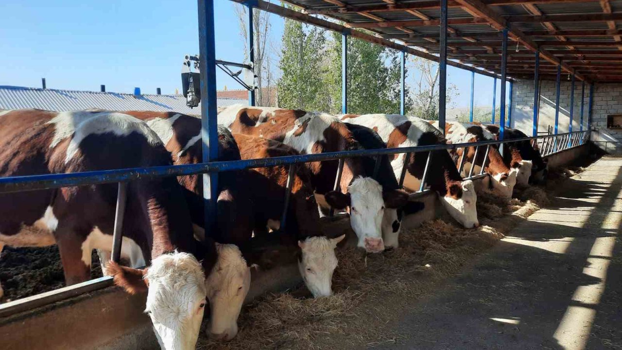 Kadınlara verilen destekler, meyvelerini vermeye başladı