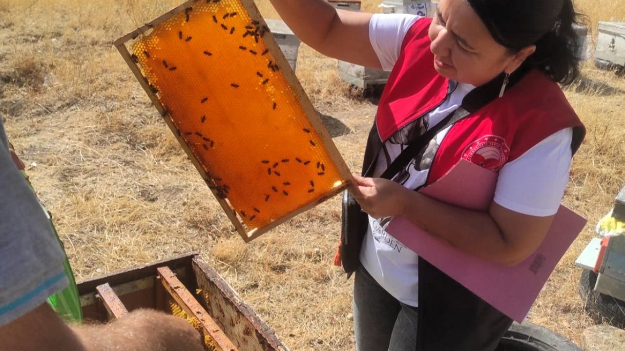 Pınarhisar’da arılı kovan tespit çalışması yapıldı