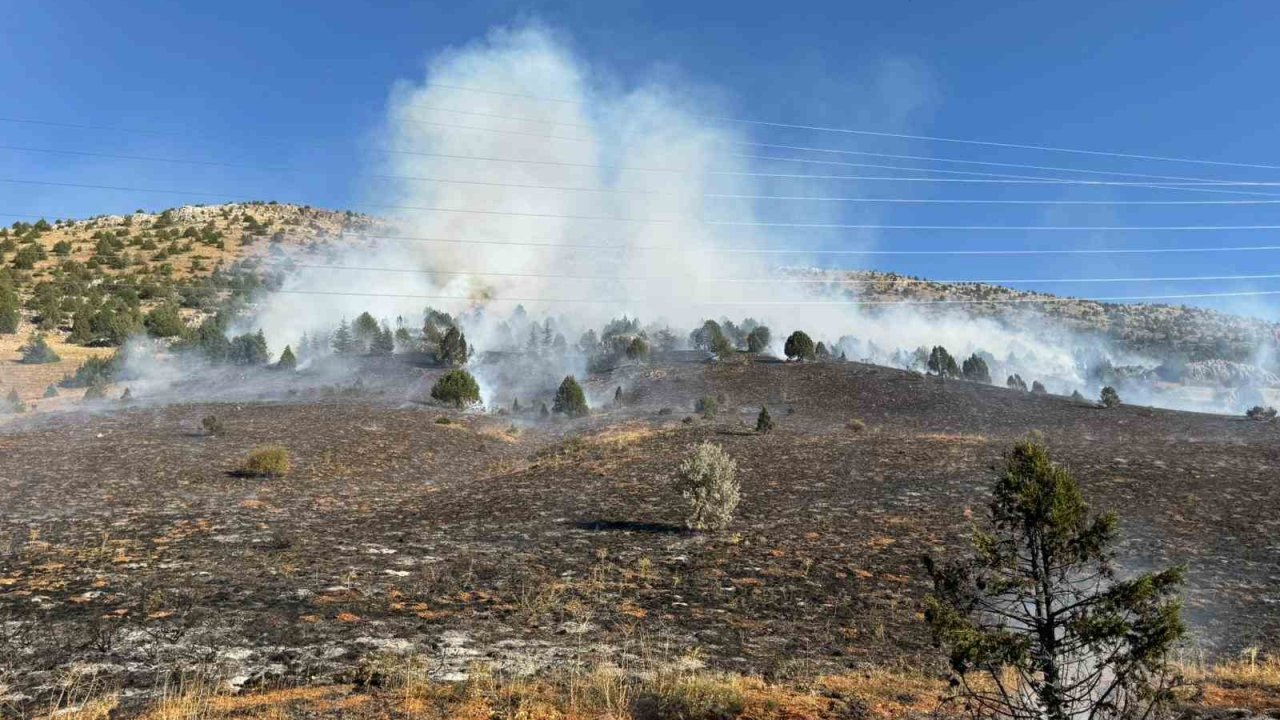 Adana’daki orman yangını kontrol altına alındı