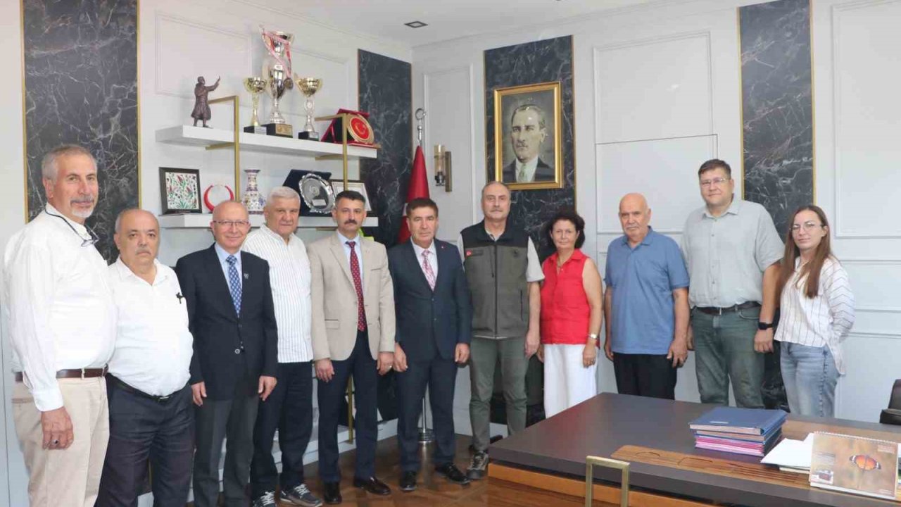 Seyitgazi’de yanan ormanların yerine yeniden ağaçlandırma çalışmaları yapılacak