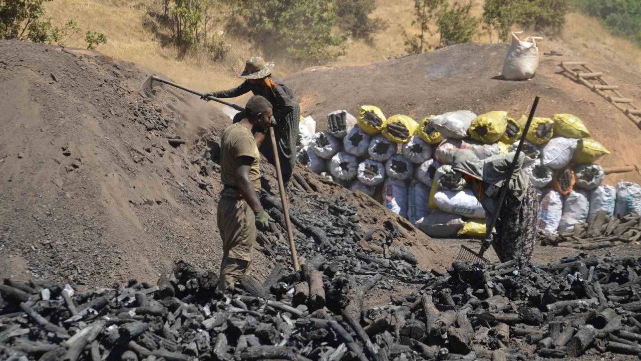 Muş’ta mevsimlik işçilerin zorlu mangal kömürü mesaisi