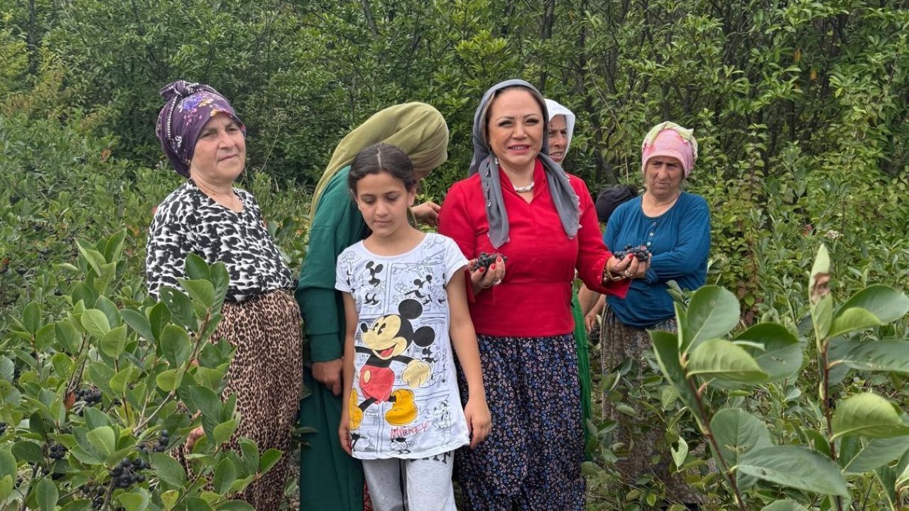 Aronya Akçaabat’tan dünyaya açılıyor