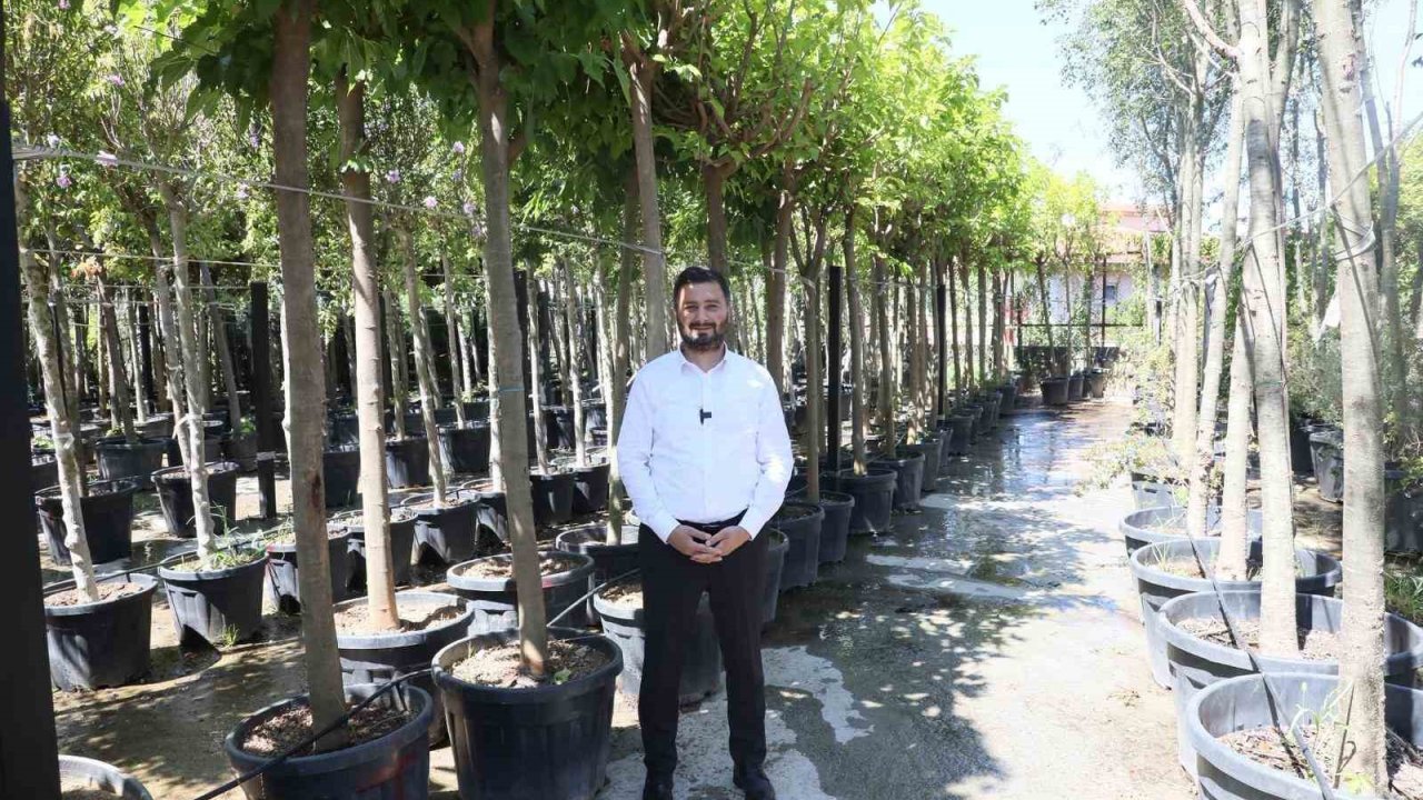 Kağıthane’ye 50 bin ağaç ve 1 milyon metrekare yeşil alan kazandırıldı