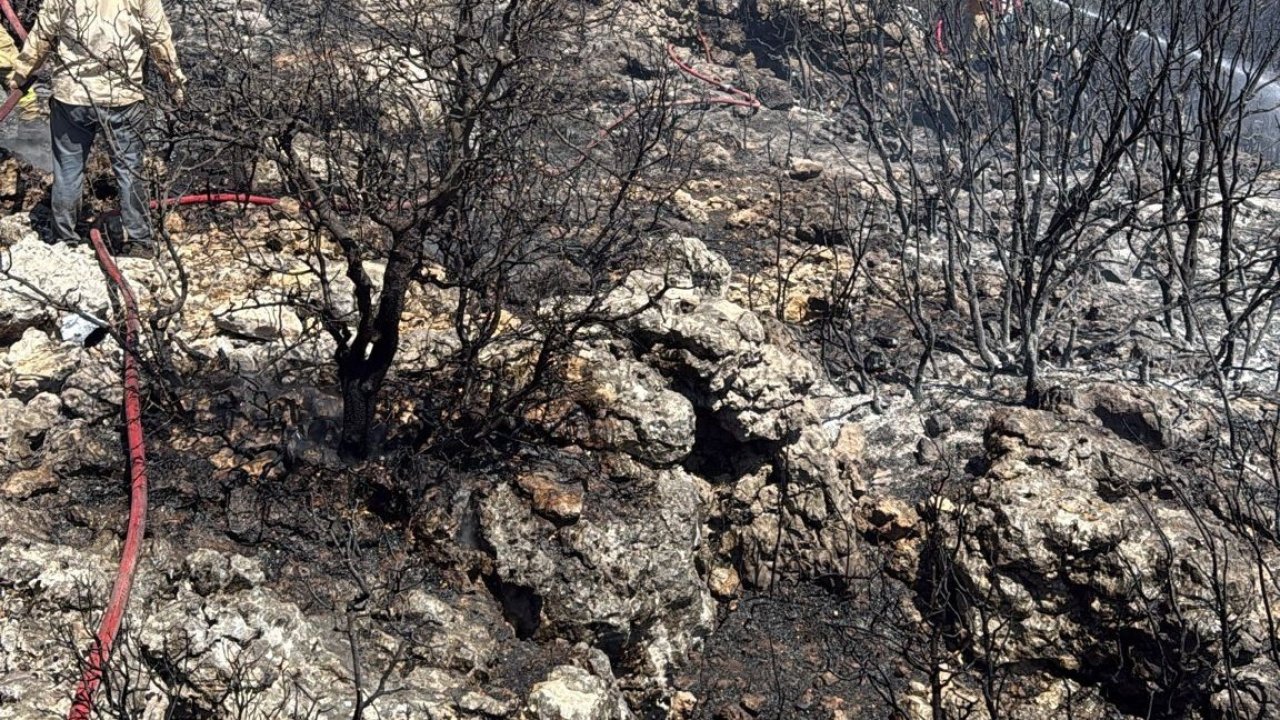 Mersin Silifke’de yangın ormanı sarmadan söndürüldü