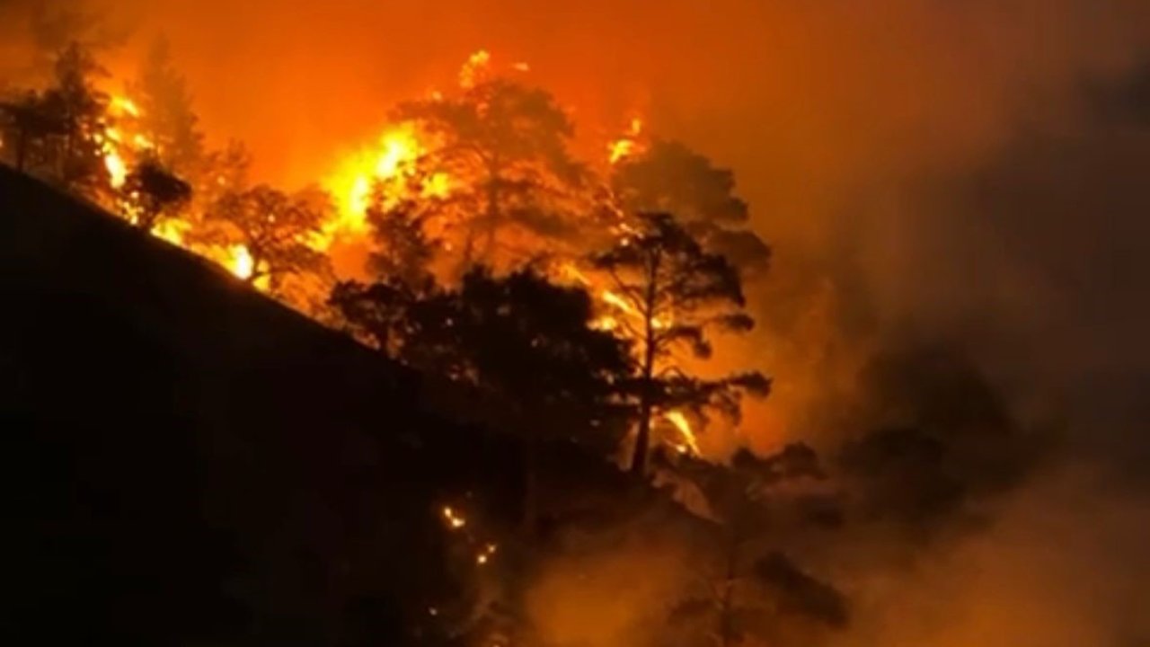 Buldan’da sarp arazide orman yangını çıktı