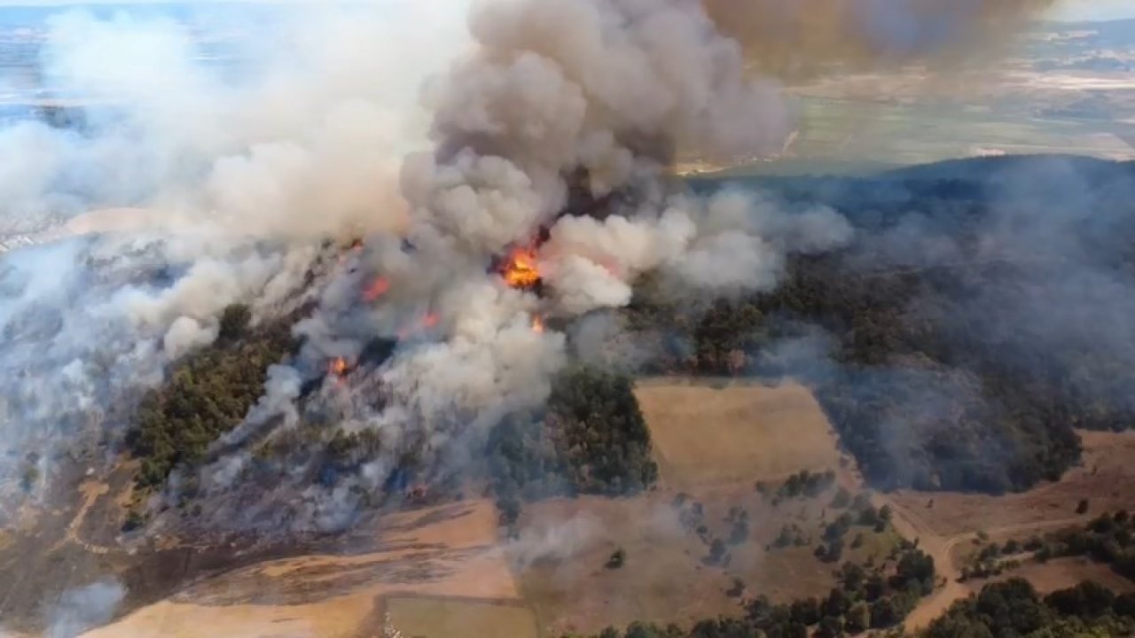 Bursa’daki orman yangını kontrol altına alındı