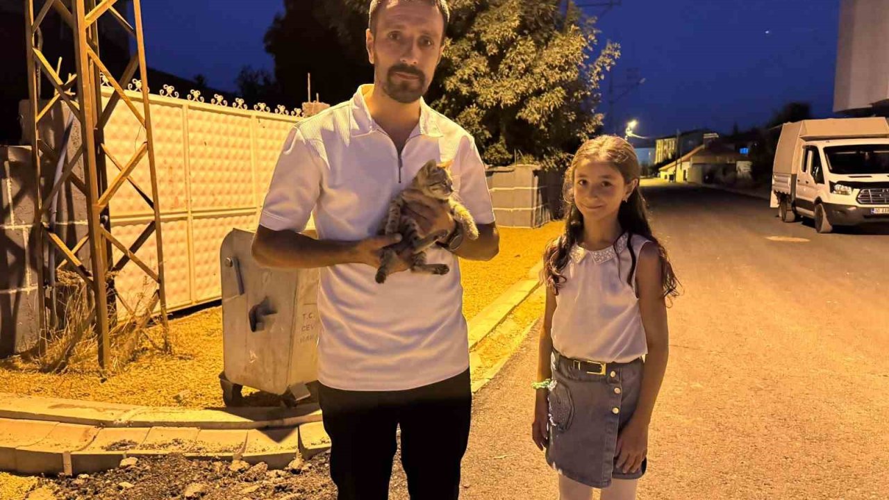 Yüksekova’da baba-kız yaralı kediyi hayata döndürdü
