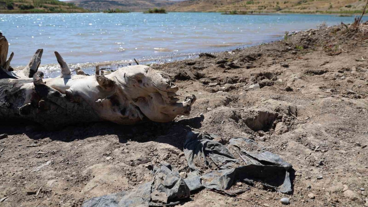 Sivas’ın önemli su kaynaklarında olan 4 Eylül barajında zemin görüntü