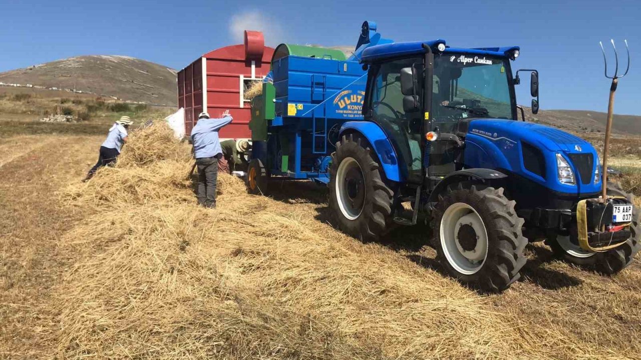 Ardahan’da güneş altında patoz mesaisi