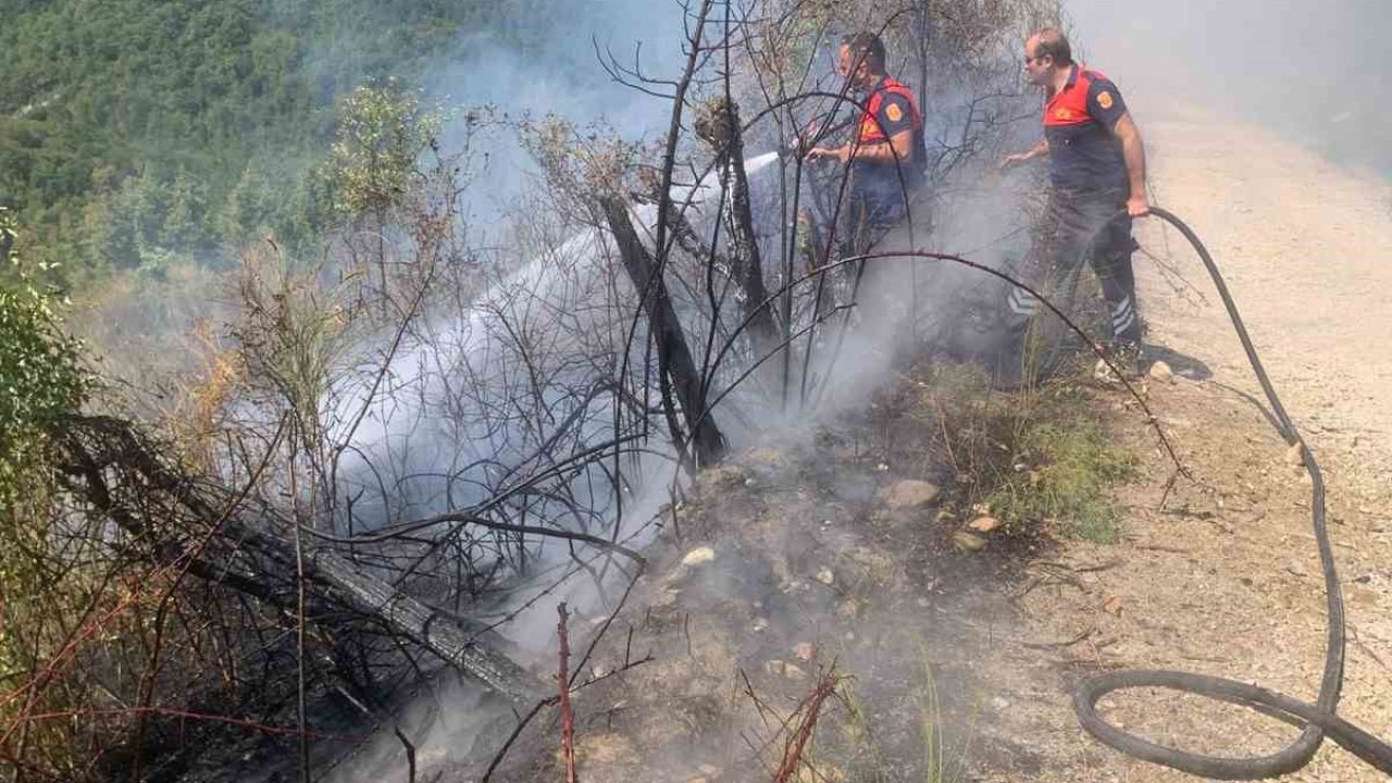 Türkeli’de ormanlık alanda yangın paniği