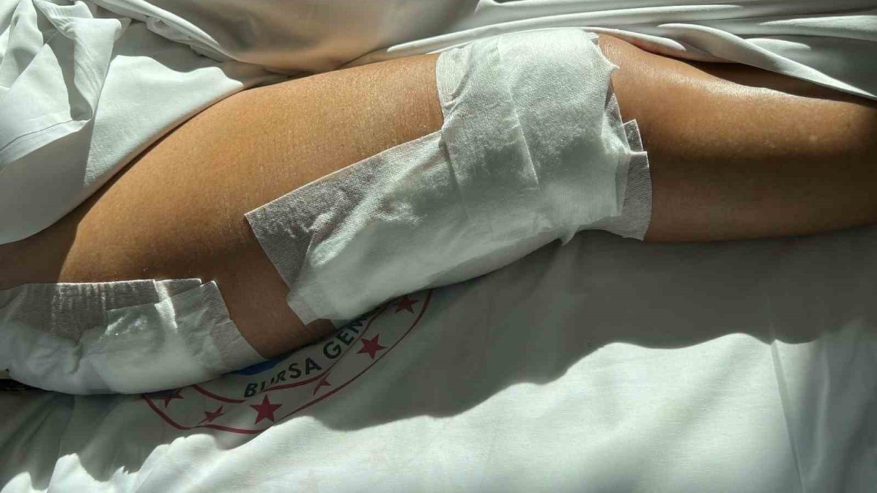 Yalova’da sürat teknesinin çarptığı yaşlı kadın ağır yaralandı