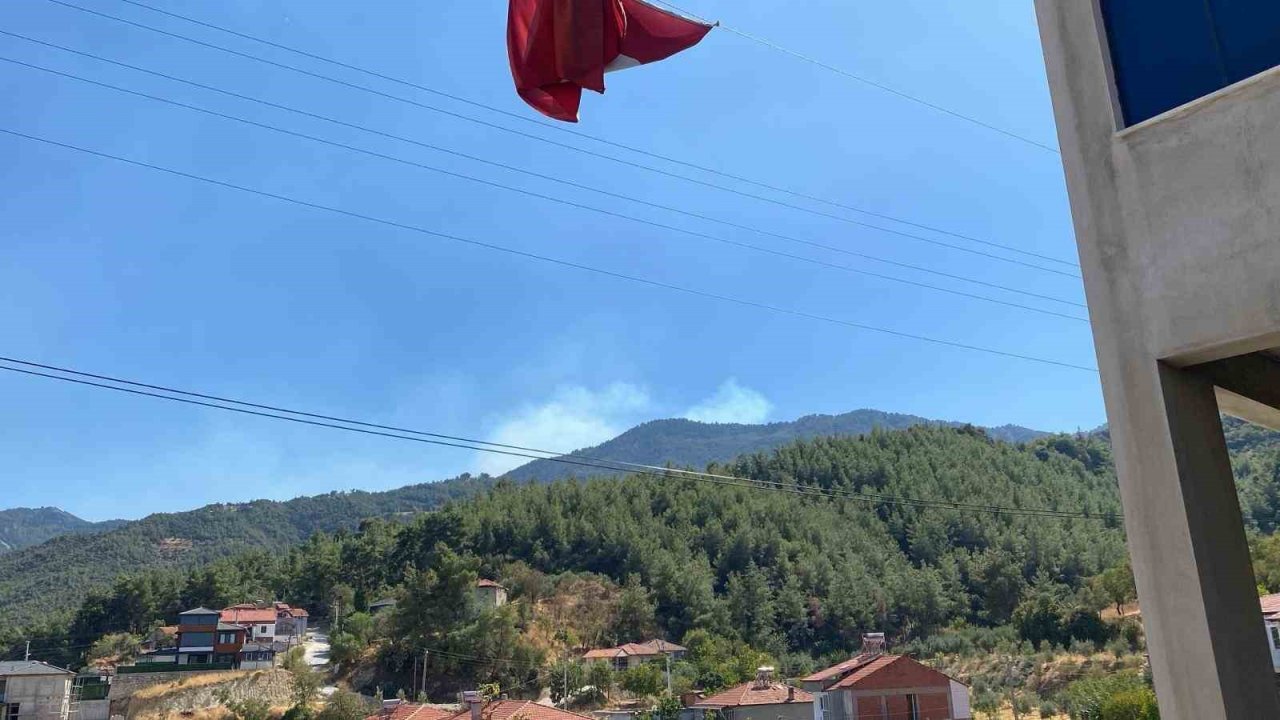 Buldan’da ormanlık alanda yangın çıktı