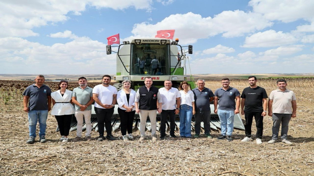 Silivri’de yaklaşık bin 500 dekar alanda ayçiçeği hasadı başladı