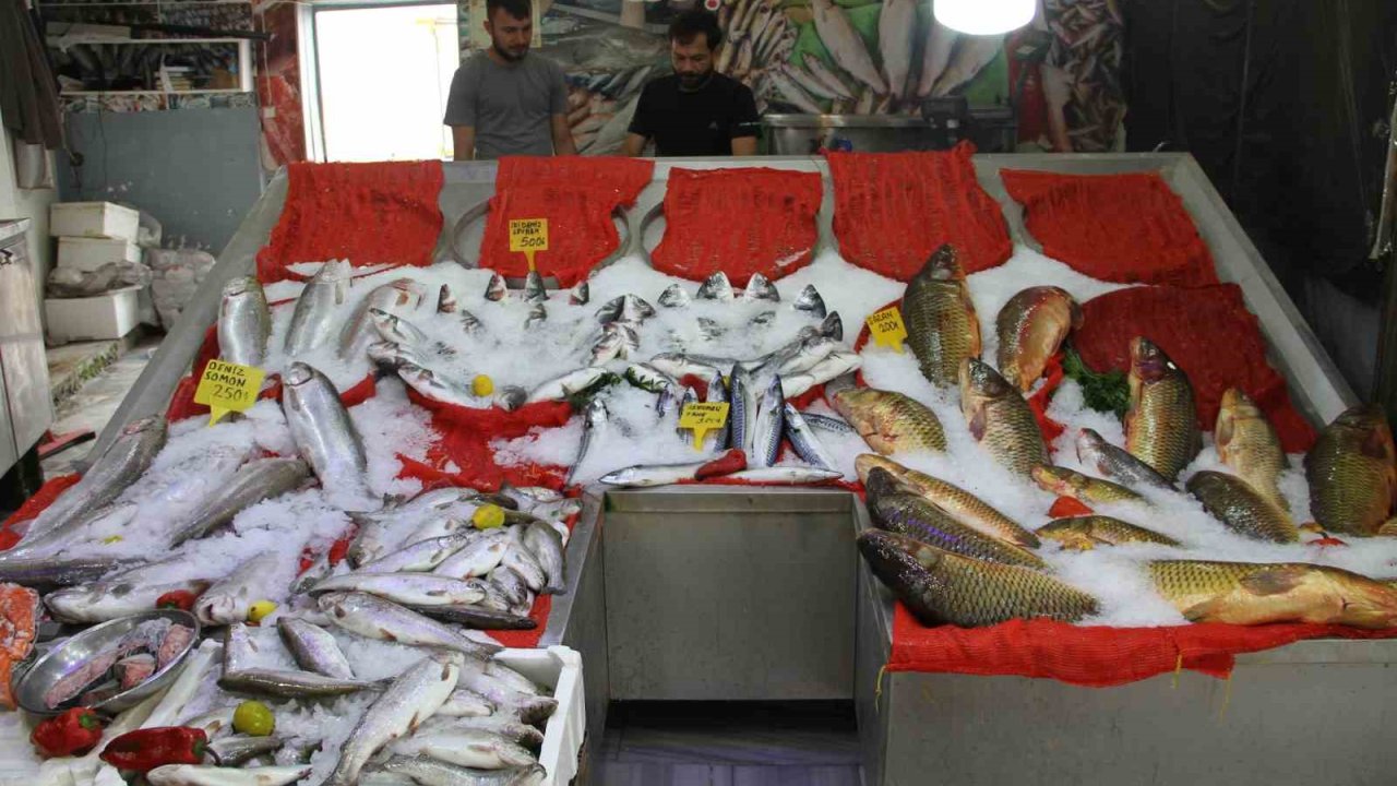 Esnafta ‘balık sezonu’ hazırlığı
