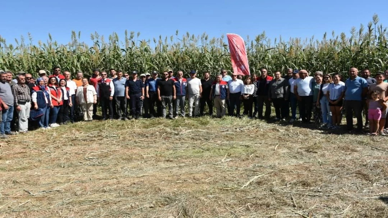 Aydın’da kaba yem açığını kapatacak proje meyvelerini veriyor