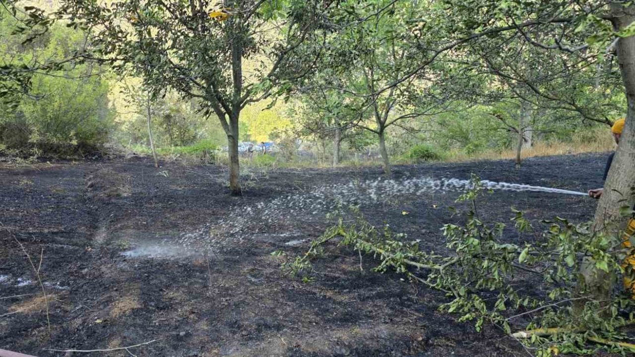 Bolu’da otluk alanda çıkan yangın ormana sıçramadan söndürüldü