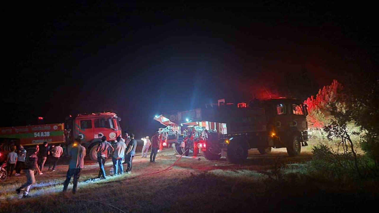 Geyve’de çıkan yangında 5 dönüm alan zarar gördü
