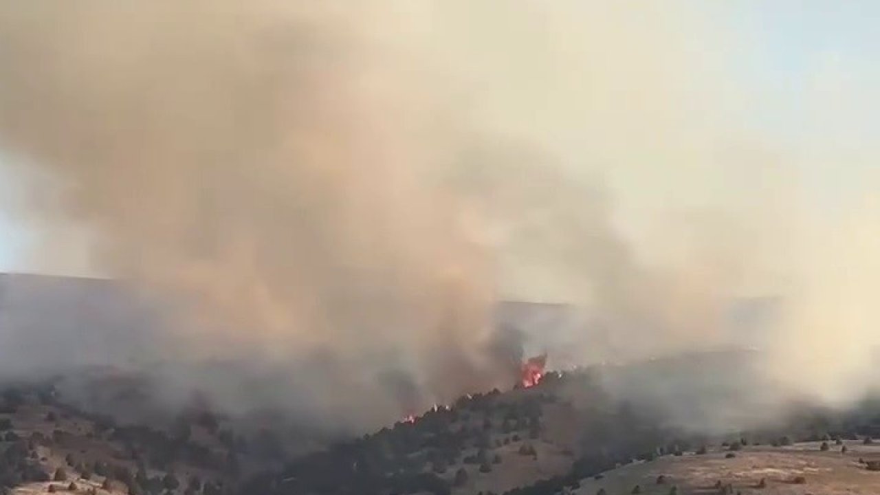 Sivas’ta çıkan örtü yangınına müdahale sürüyor