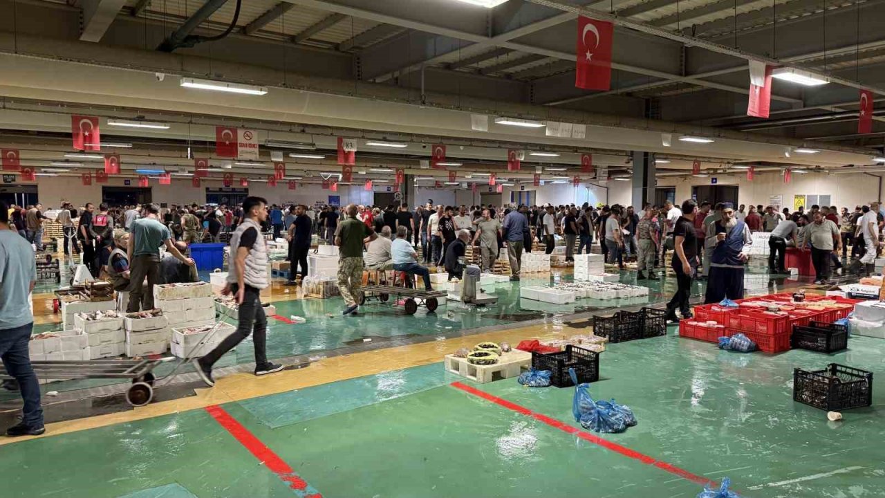 Av yasağının bitmesiyle İstanbul’da balıkçılık sezonu resmen başladı