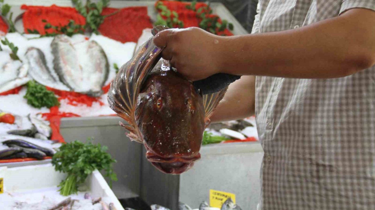 Çarşamba’da tezgahlar şenlendi