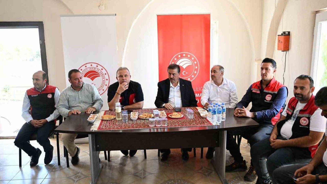 Büyükşehir ve valilikten Sultan Sazlığı’na can, tarımsal üretime yeni bir kan olacak dev proje