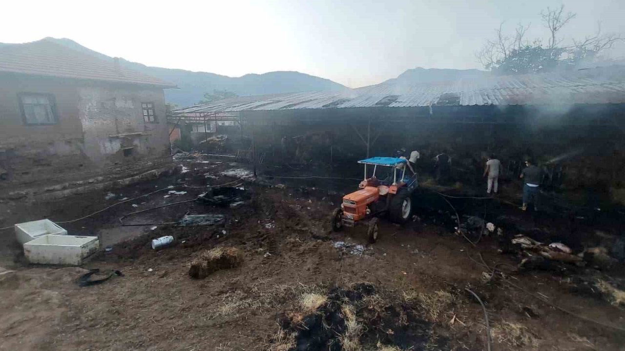 Burdur’da çıkan yangında 2 bin 500 saman balyası kül oldu