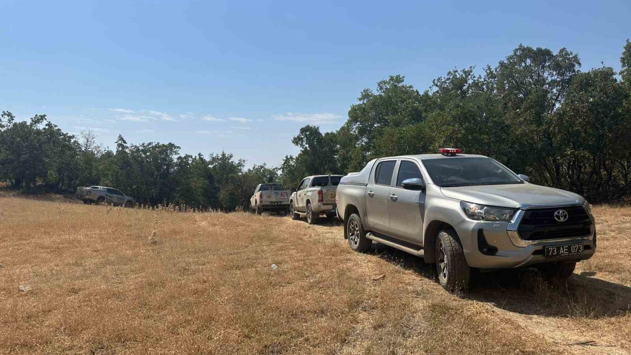 Şırnak’ta Bestler Dereler bölgesinde orman yangını: Ekipler seferber oldu