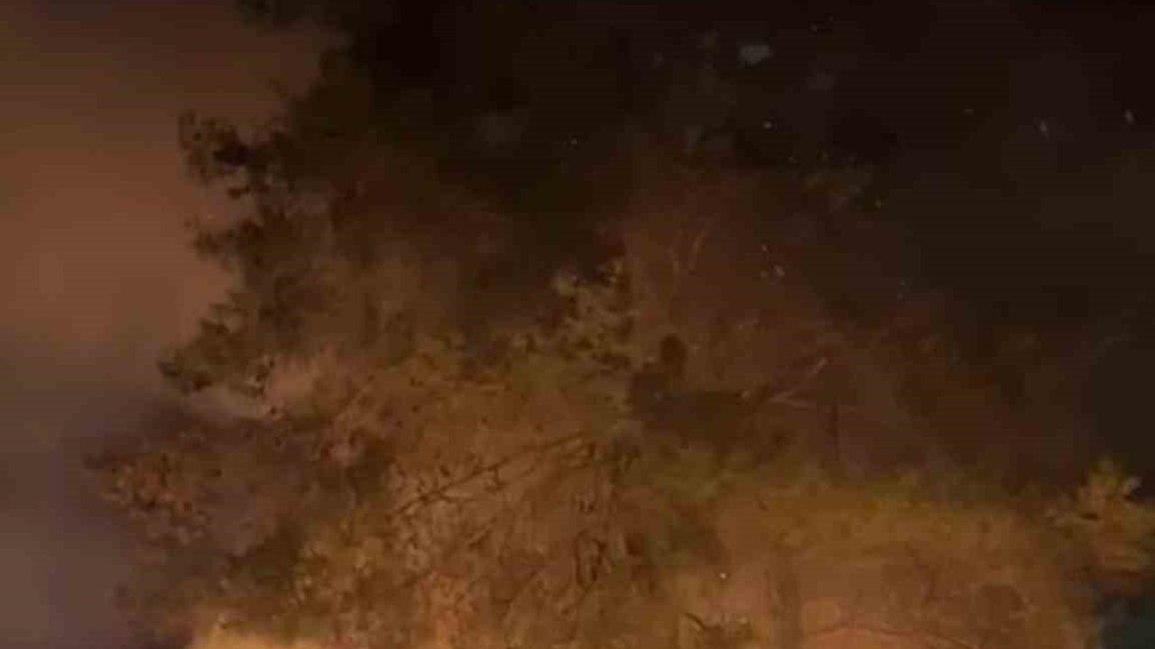 Sakar rampasında orman yangını