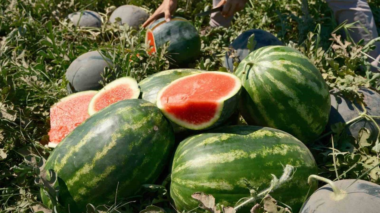 Karpuzun fiyatı 70 kilometrede 30’a katlanıyor