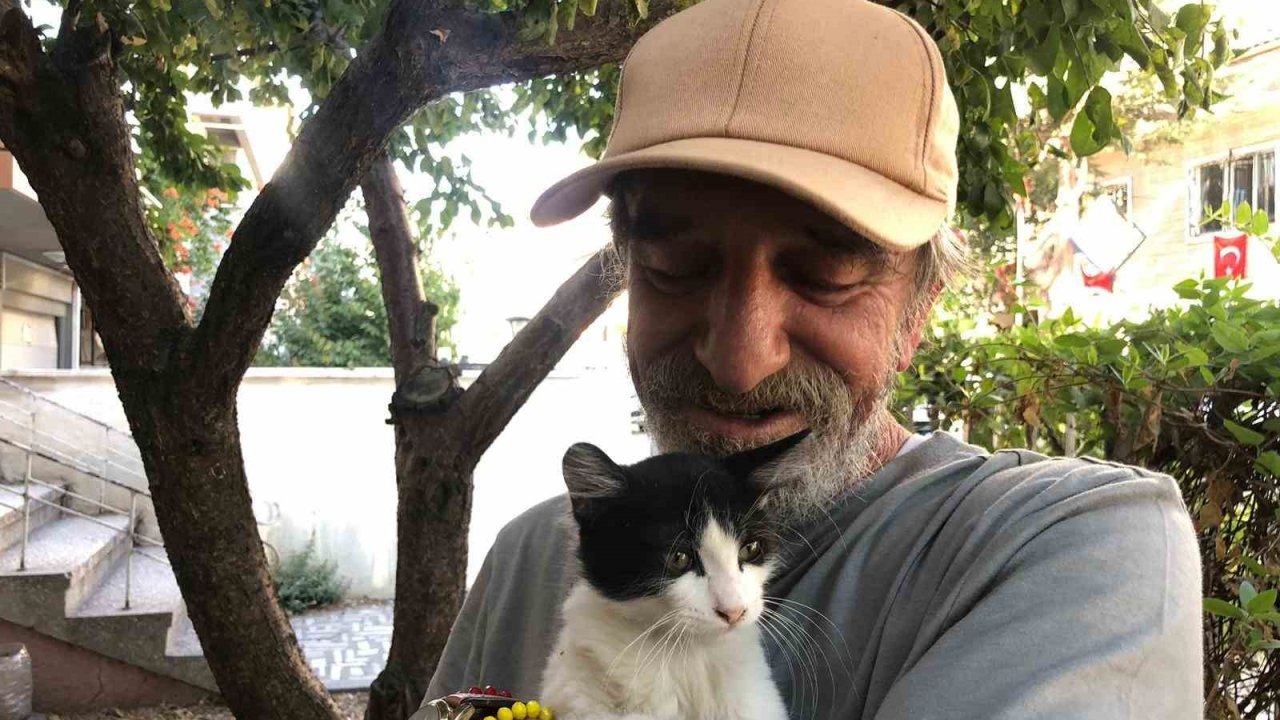30 yıldır sokak kedilerine kapısını açıyor