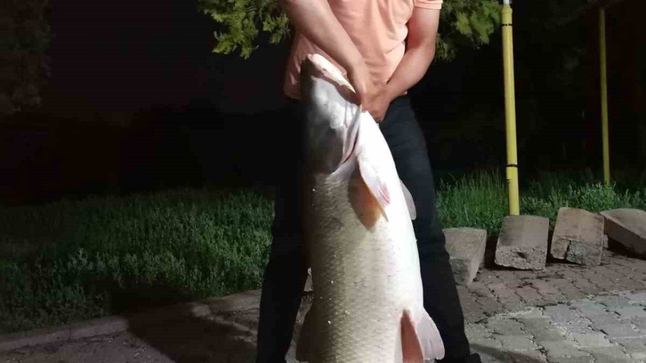 Elazığ’da baba-oğul 75 kiloluk dev turna balığı yakaladı