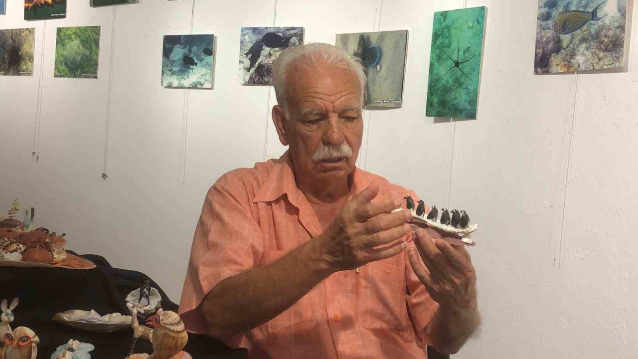 "Yaşam kaynağım" dediği denizden topladığı kabukları esere dönüştürdü