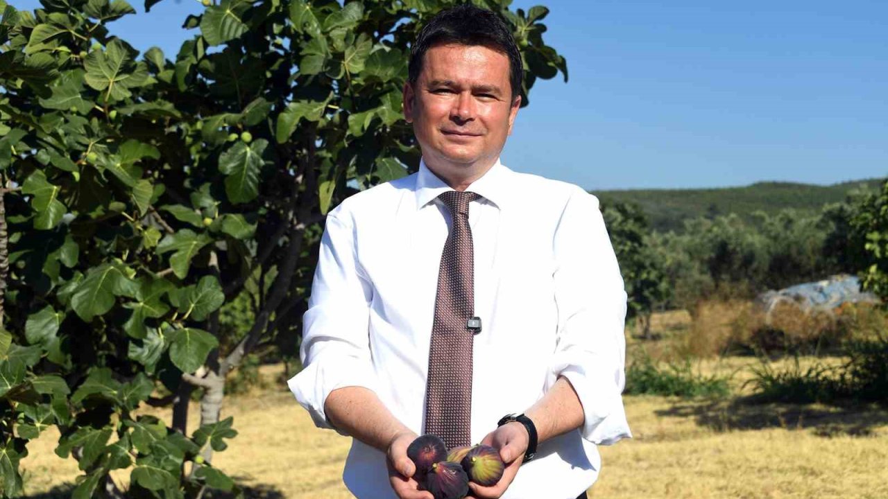 Osmangazi’den dünyaya açılan lezzet "Bursa siyah inciri"