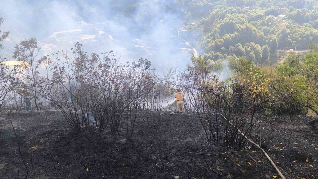 Zonguldak’ta 2 dekarlık alanda örtü yangını