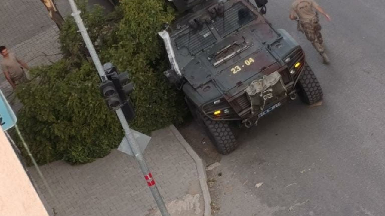 Kovancılarda ağaç dalları kırıldı