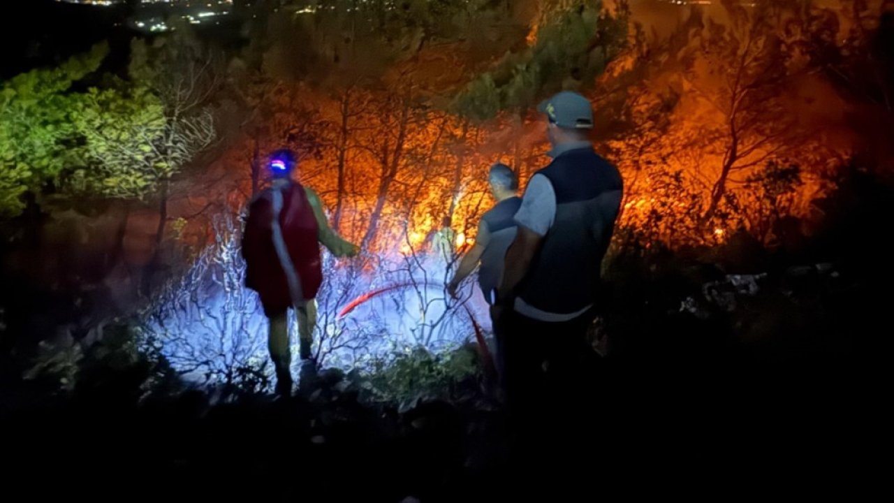 Söke’deki orman yangınının yayılması durduruldu